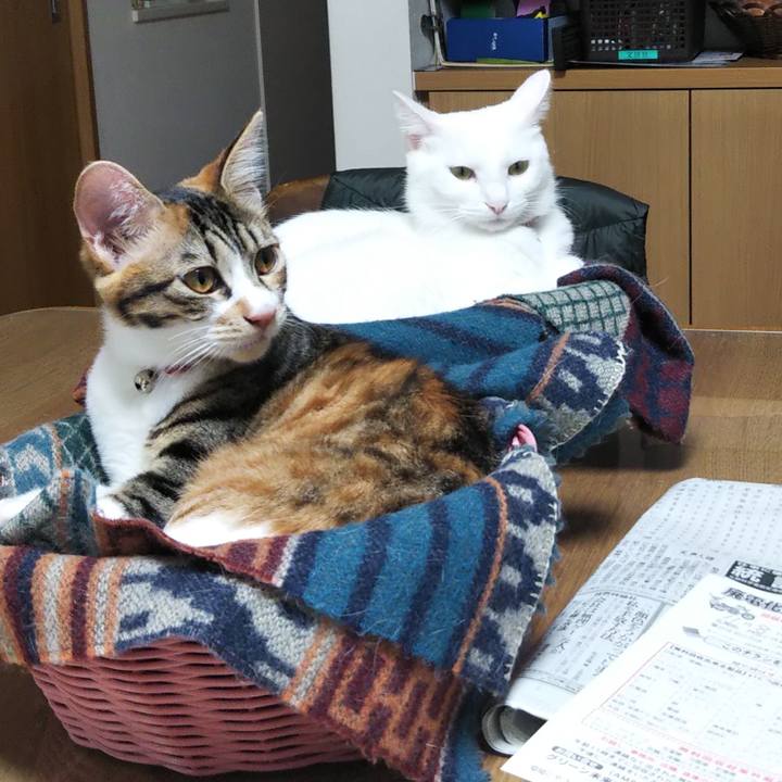 C654bb8d 7658 4da9 87ad e47e68ac3162 1635806555817