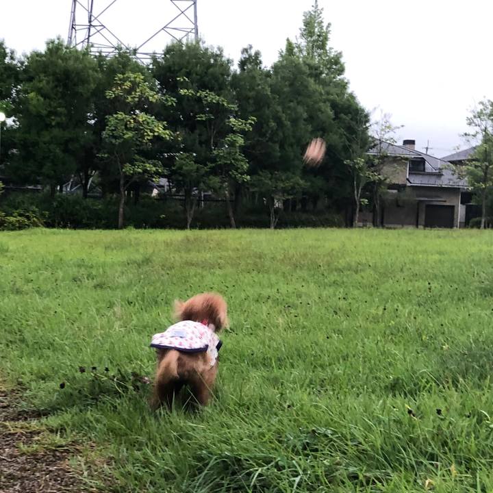 C655076b 1679 4432 befd 7a8bce2a93d7 1566307875785