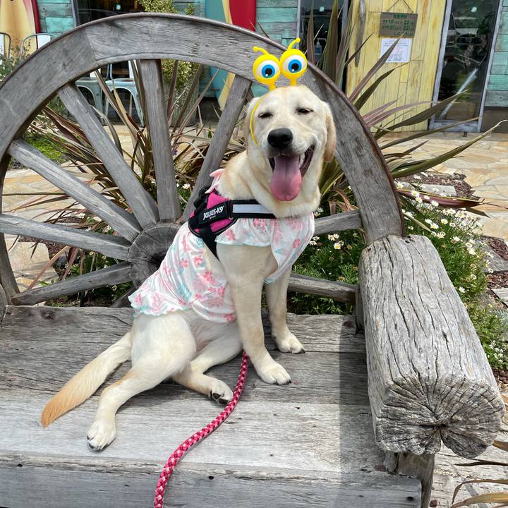 C6551372 59d5 47cb bc7b 6acfe096f3e4 1624253483658