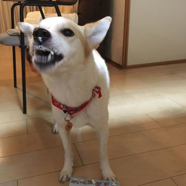 C65537da fa2f 48b8 9088 240e2f886c44 1545647502894