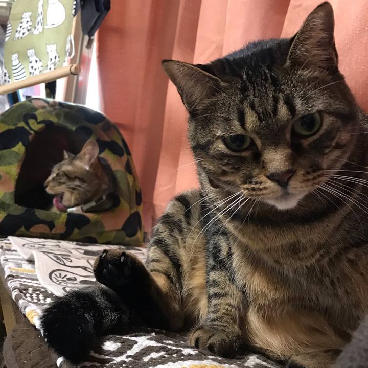 C65563cb 0dbf 4f3d a2c5 4c7db09d5748 1580027809926