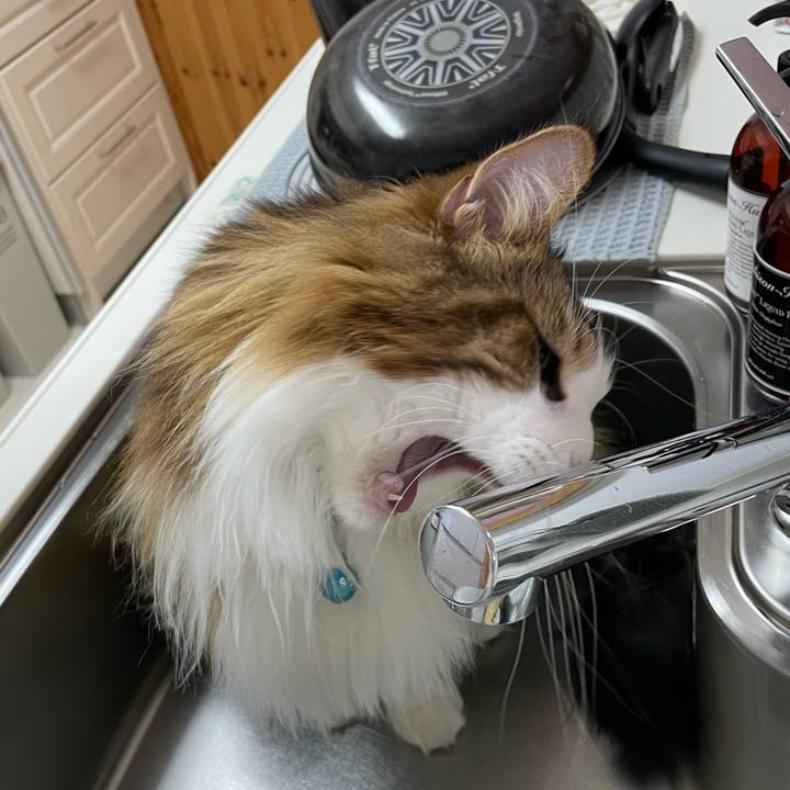 C6557f4c 992f 4c95 afc2 9e2bd41c87be 1714419740958