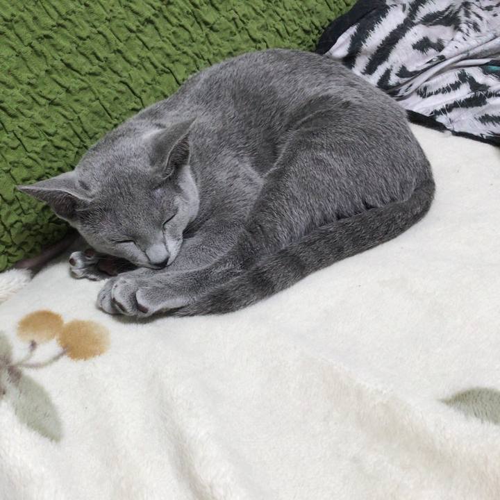 C6558624 ee94 41d3 a124 30fd67ab993a 1509320035591