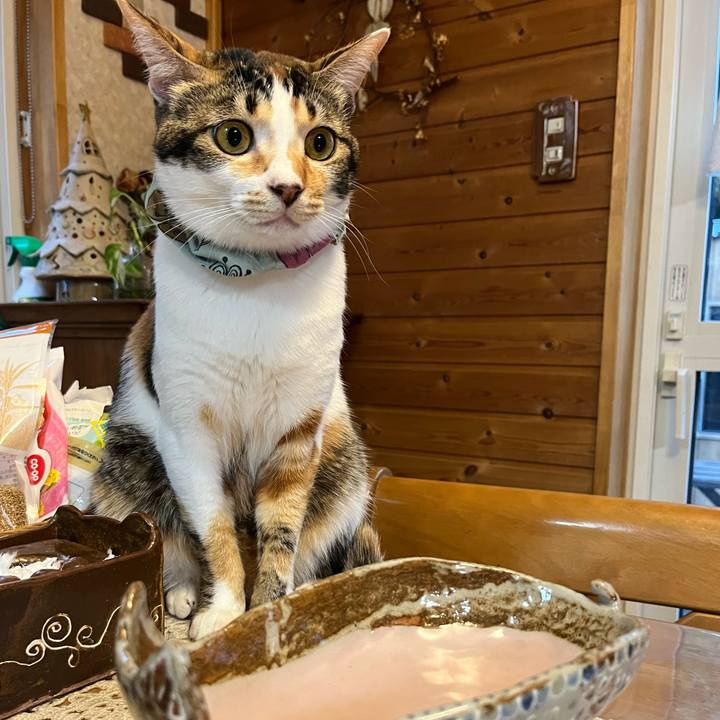 C6559a88 be55 4550 a419 5bea239fed1f 1654595315067