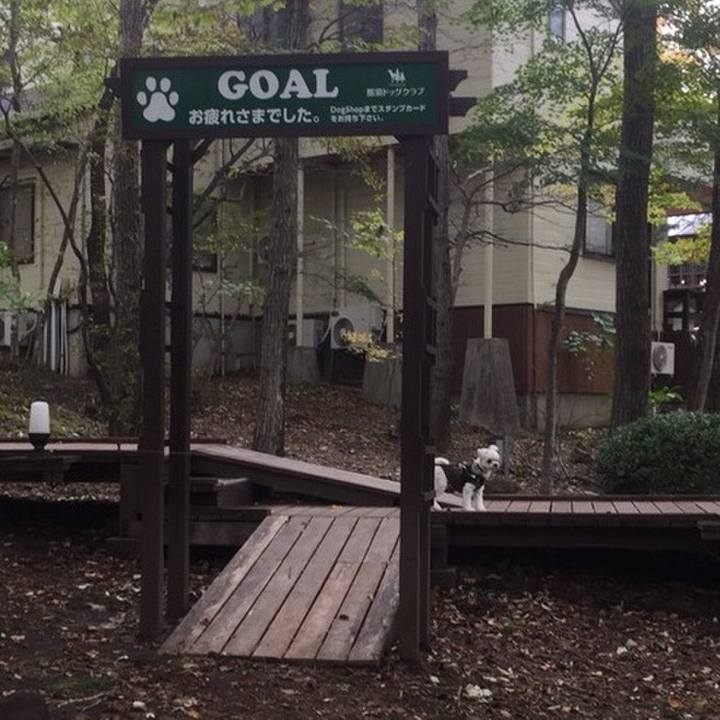 C655b6b0 bc2f 4c1b 9909 0c2bd1a4b6cf 1510046560355