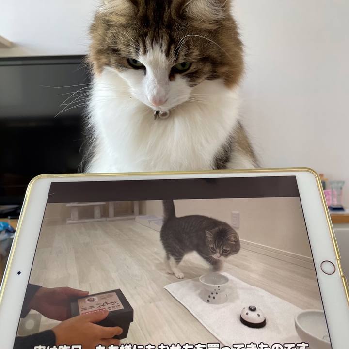 C655d7b2 076c 44c4 91d3 c5748045b497 1642139744520