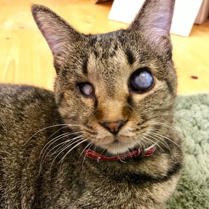 C655dac2 6b07 4a7e 8bc6 8610c0bec28b 1536914919586