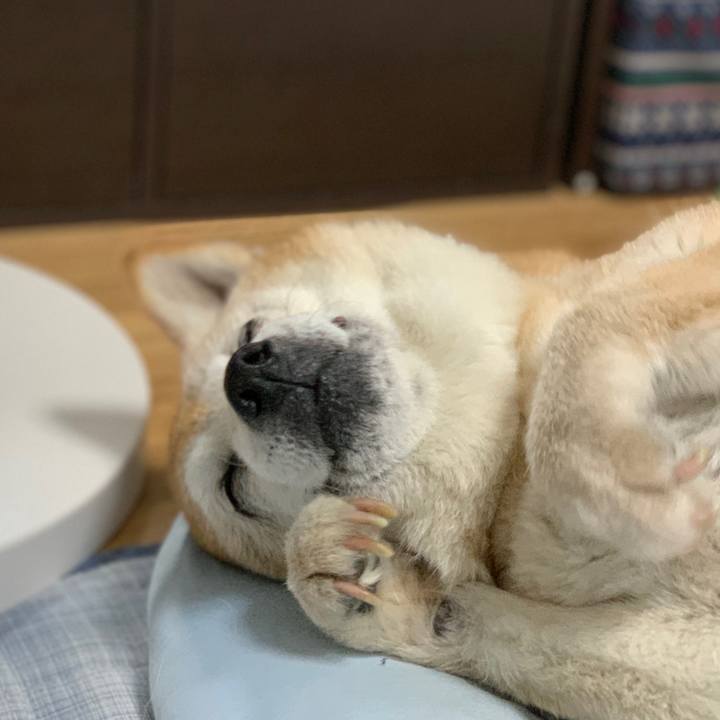 C655f1bf 7efe 4f04 bdab b9a0710b5252 1564146629242