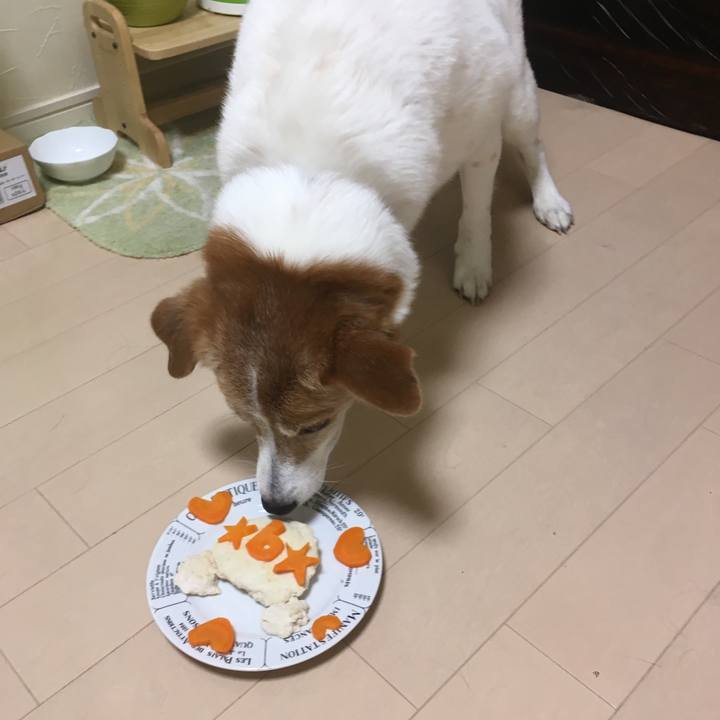 C655f25e e1cd 4f35 bd18 d2bbdb6d11ab 1561467128073