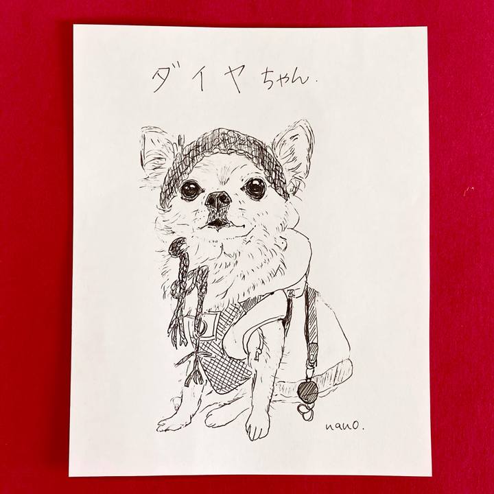 C6562dde de1e 4028 8587 5426be33cc27 1642124752517