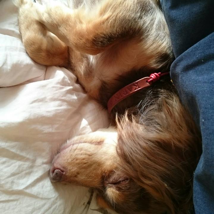 C6563922 e786 4a0d 821b 3ba90d0c4ec6 1513512573587