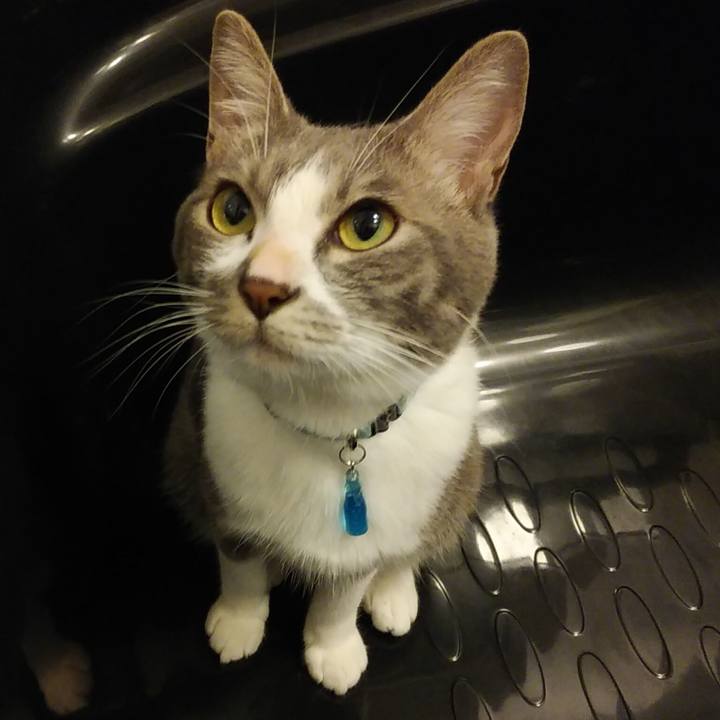 C6565de8 ac0f 4bf7 ad2f 7ecc29633bb8 1593779261705