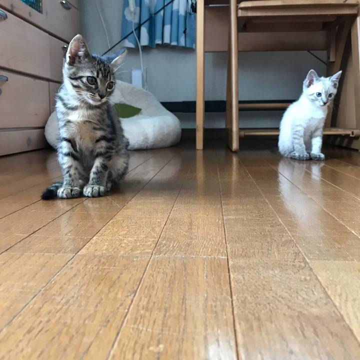 C65696b0 2fbe 4823 a665 79c57d3d8024 1558856021524