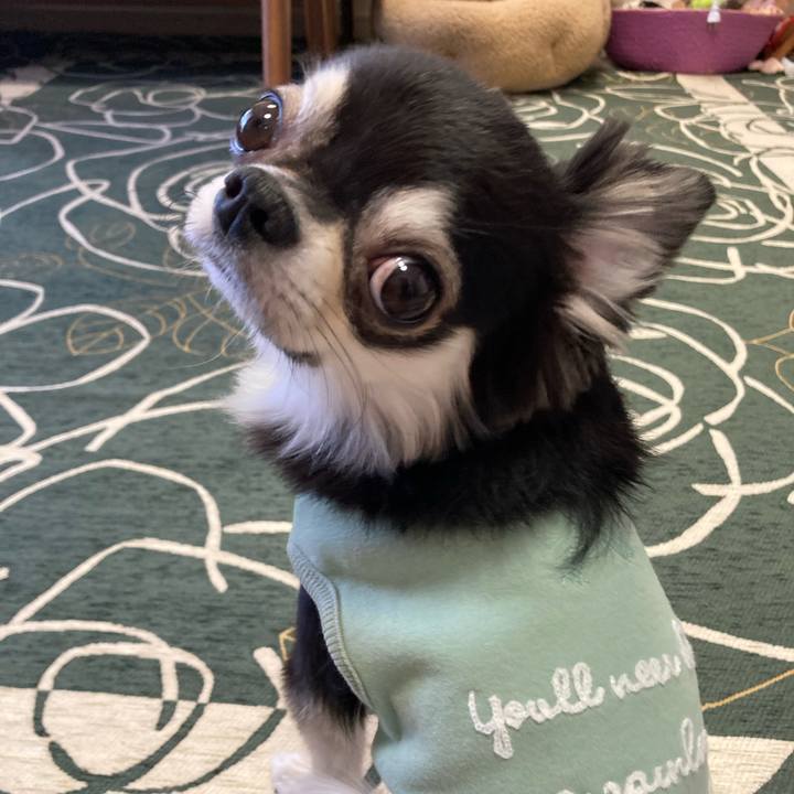 C656e827 7707 4e71 a737 e49700541511 1645937471244