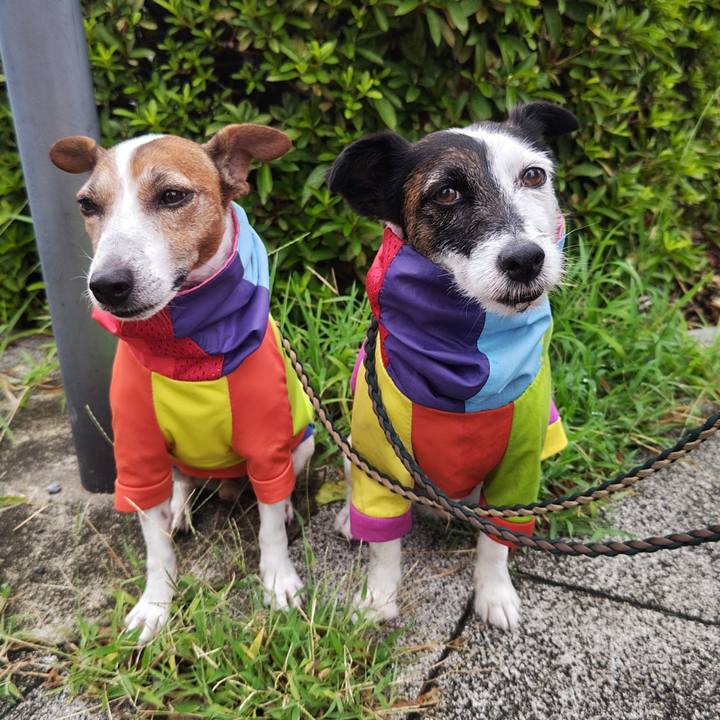 C656eadb 6a68 4c2d aad9 01364ec469e9 1754863121468