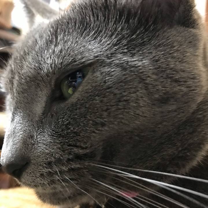 C6578098 5288 4117 a670 9e395a25809b 1540590261240