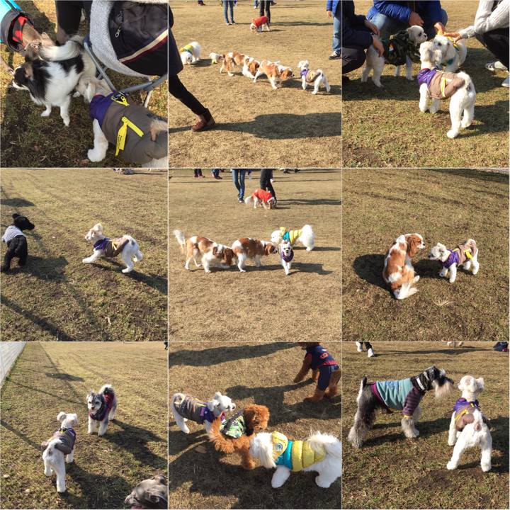 C6578e54 ee3d 4e6e be82 dae1c8959c9b 1516513674906