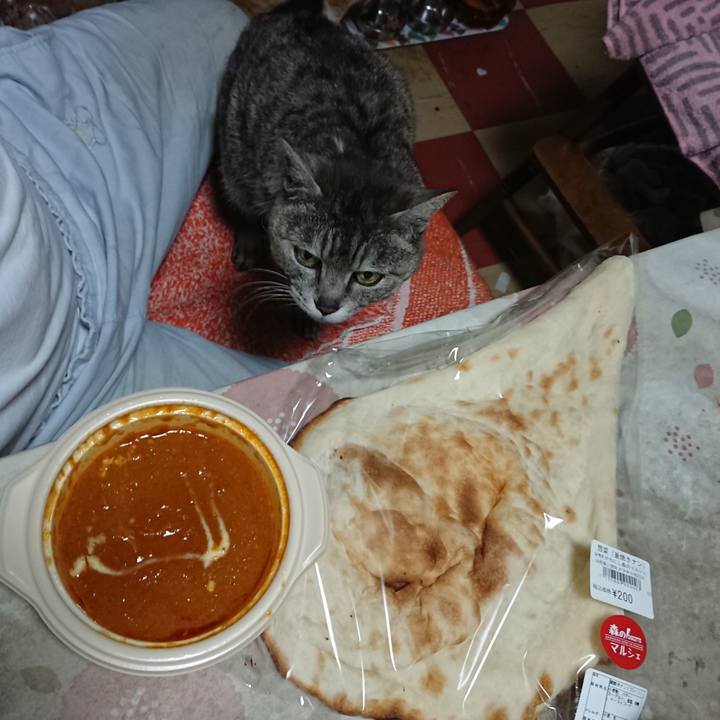 C657a4bd 0643 4f50 ab56 0fcaf087992d 1590290745877