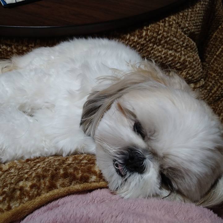 C657ec12 6080 4492 9c62 a64ebeb084d0 1641785689762