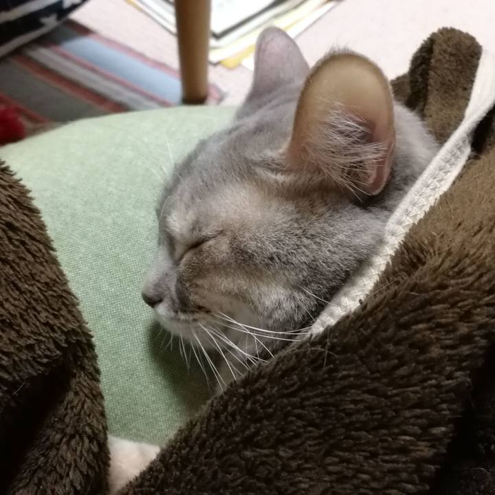 C6584a30 2379 4c63 acdc 1d92af13c5a9 1514384695197