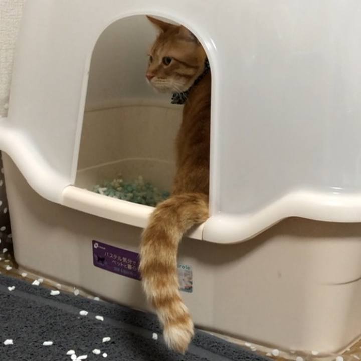 C6584c19 a2d3 424c b5c7 ee457f1aa34a 1578133295067