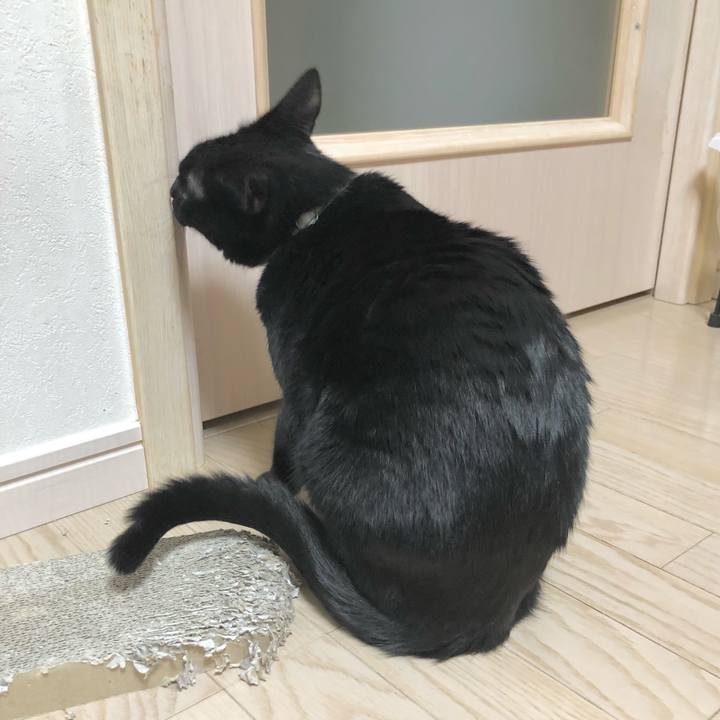 C6584c8b 302e 49b8 8ee0 c2cfdd68ca8c 1608903354880