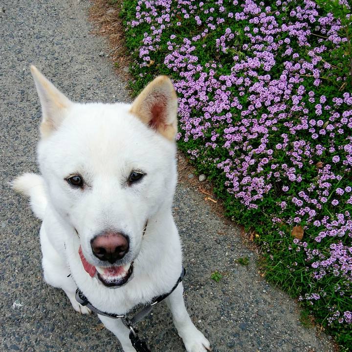 C65903ce 74e5 4f64 adb1 4d544f616ad5 1525214851485