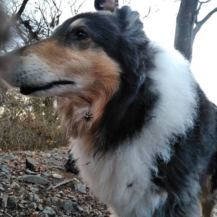 C659412c 5544 4377 98fa 64d797c2a347 1550753617946