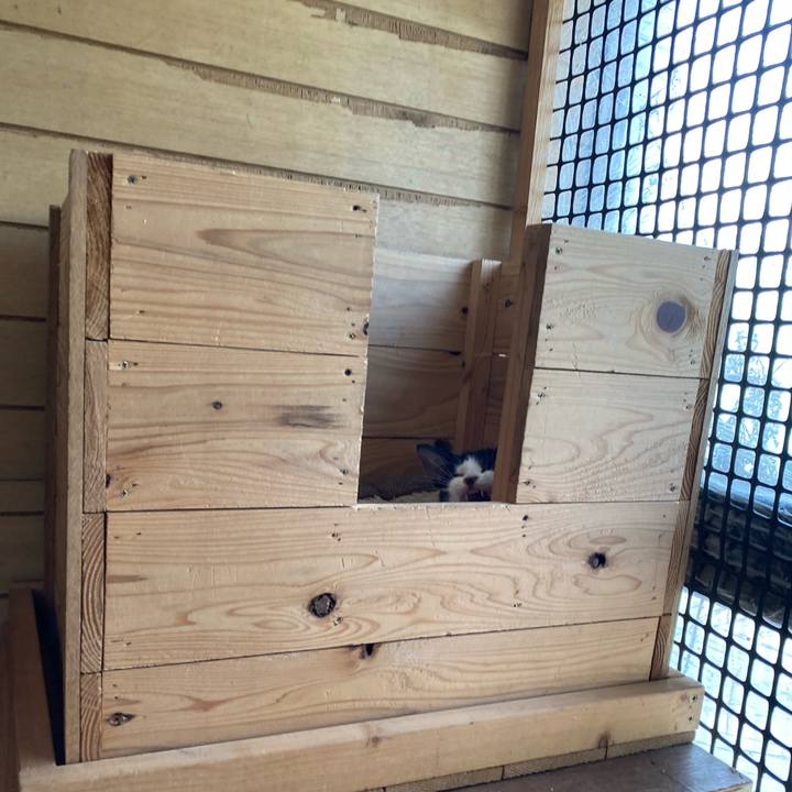 C659477b b173 417c b048 a3e1938fd314 1624948700573