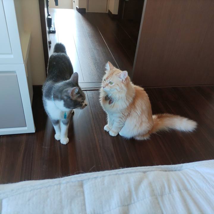 C6595219 204d 4274 8b9c daed930ee96b 1660197752043