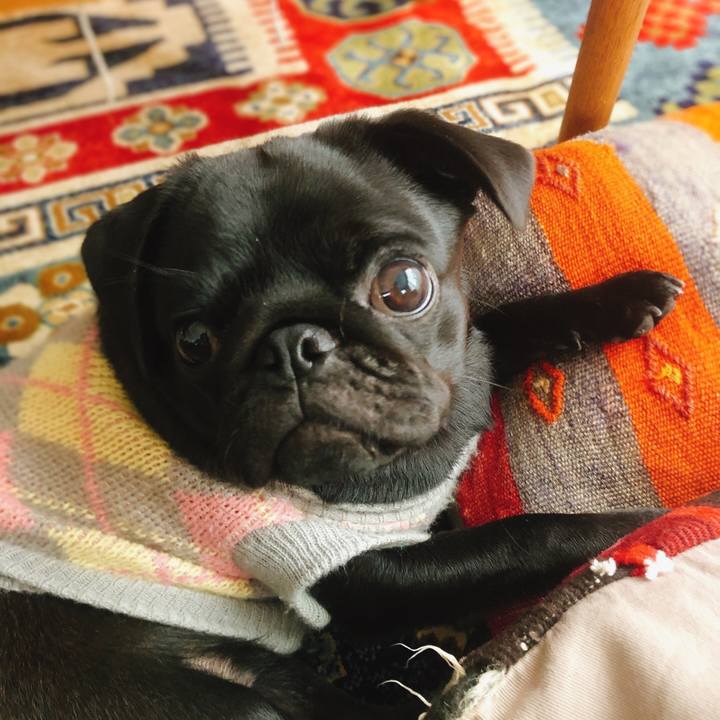 C65996c7 ee44 420f aef1 5935aec51843 1603865468008