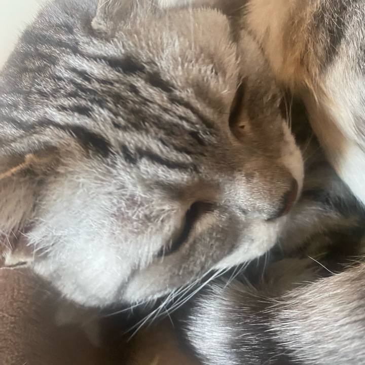 C6599922 0042 424d 913c 6df2ce3d366b 1748751102311