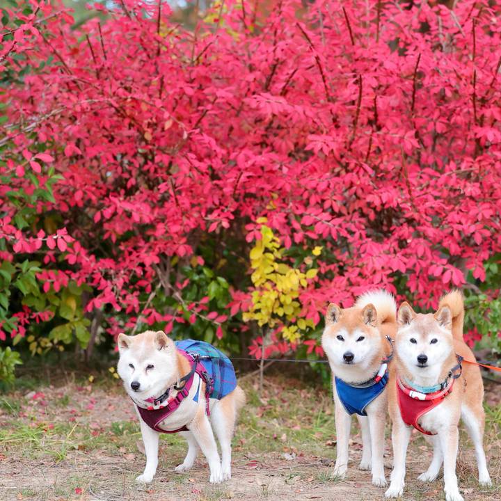 C659c7bf e424 4878 a246 8e1ca76bce4e 1764776045415