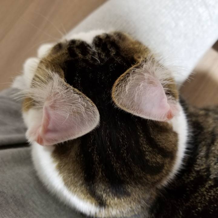 C659cfb9 f7d9 4d98 8344 fa2526e72228 1617193127671