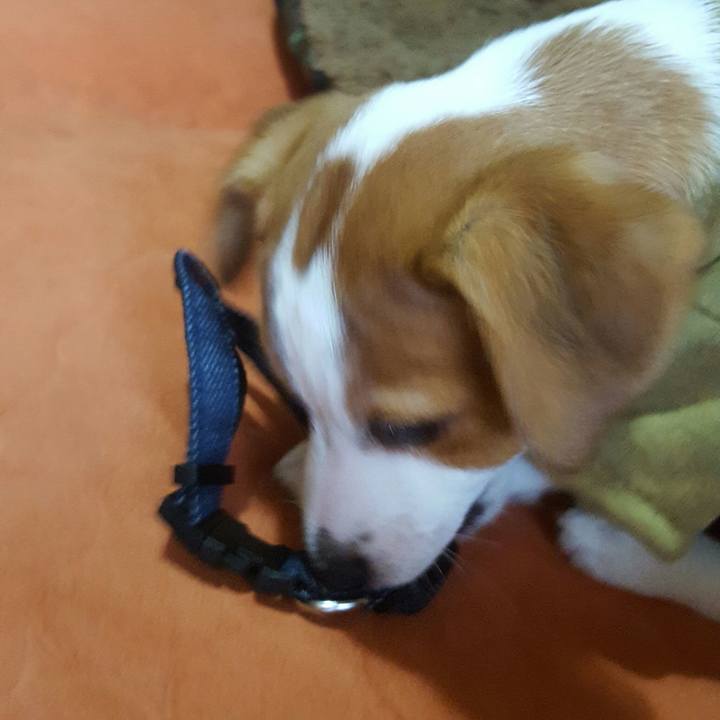 C659da00 6e5b 4c7c 9ece a52ba347bda5 1550825097983