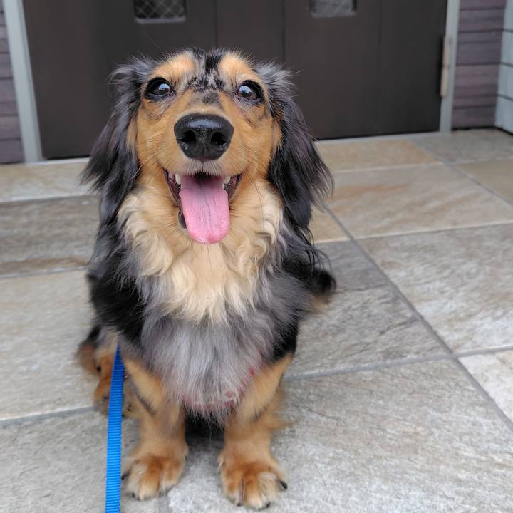 C659e517 4dd5 42ce aaf6 37c9dfe52728 1759139230042