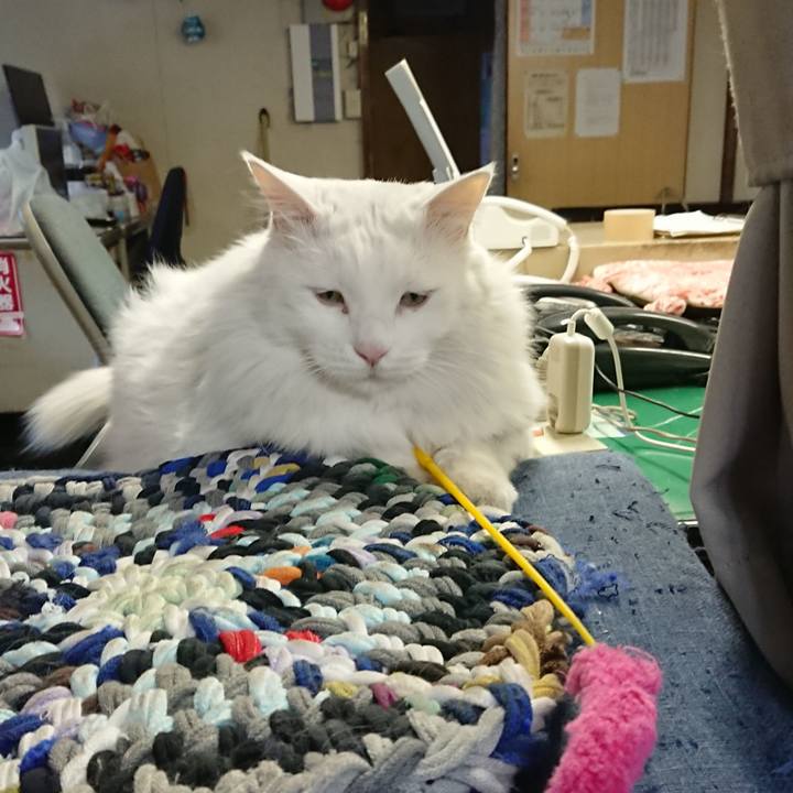 C65a1be5 49e9 4743 9938 a6a5b9a8c548 1540938522769