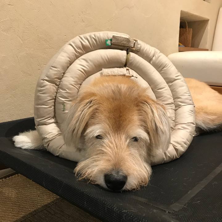 C65a26e0 20c2 4a40 bc35 4d99ec2f9d0c 1599573362396