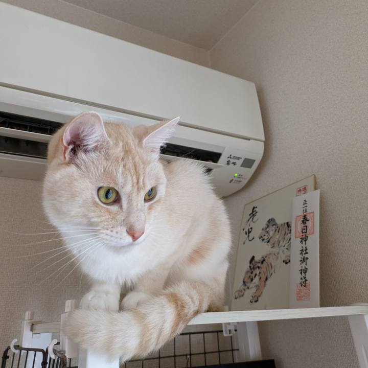 C65a79cf a9af 4855 a962 38b2d56983d1 1695422608861