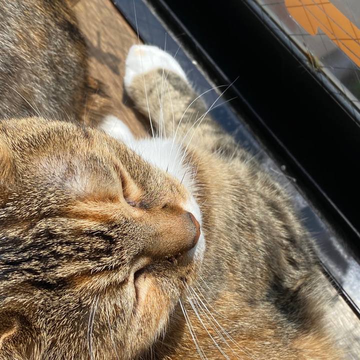 C65a7eba b564 40b2 9bec fc153161d621 1587697616651