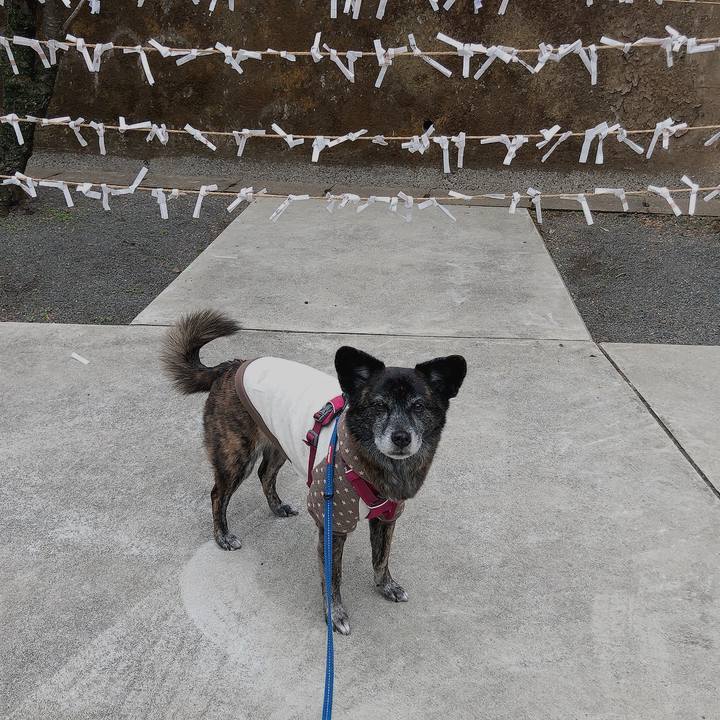 C65aa38e 97b7 410e a83e c10afc23c511 1641277211079