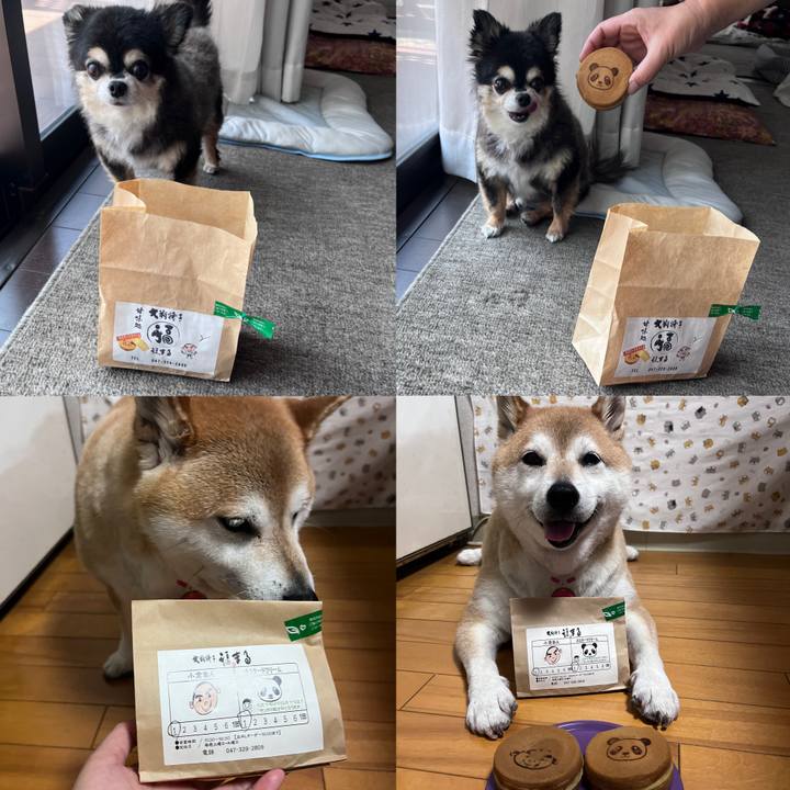 C65acf0a 3bc1 4f76 82bf 67a85bc4e95a 1720174750653