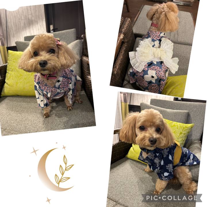 C65b0397 1465 4a07 ba3f 857efa7a4a7f 1697342918054