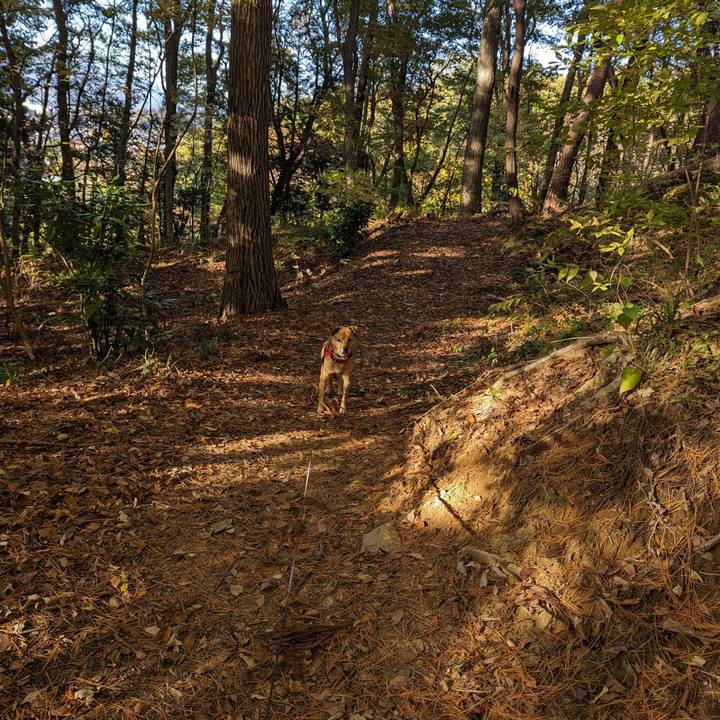 C65b0668 d867 4a16 bf55 2462a17b2b9e 1700298677731