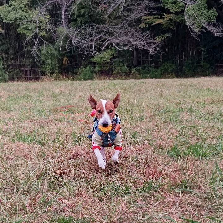 C65b2dee 2db8 4d51 8496 3c05ee4008c0 1699776365170