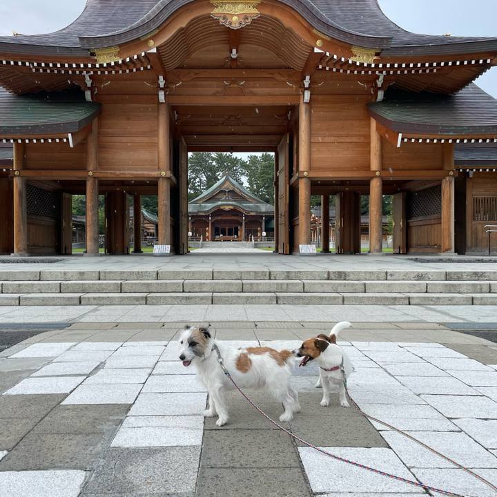 C65b3d0f 436f 407f 88df 91438512a181 1659827866803