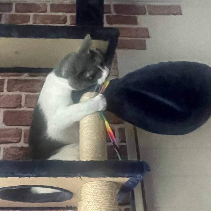 C65b4936 5862 4940 8b27 ab8e95e47e3f 1628824522148