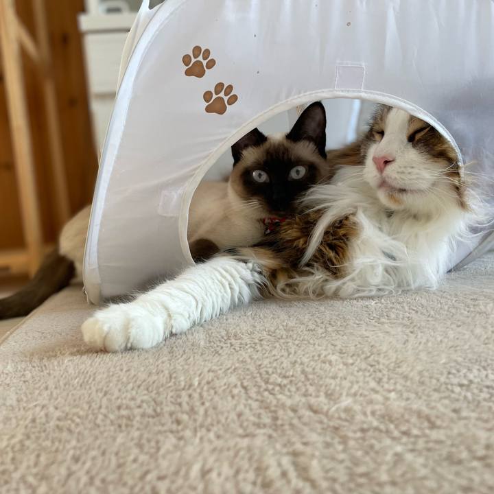 C65b4a52 8cd0 4fa3 b71d bbc4c4b4a8cf 1710551721816