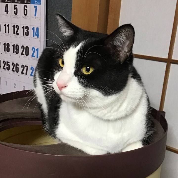 C65b6502 1d96 4273 8920 a020aab4f0ce 1675078778288