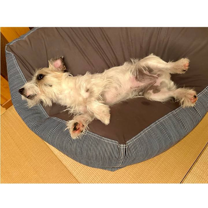 C65b9f12 bf6b 48ff 808a 2e1548e38939 1701268073085